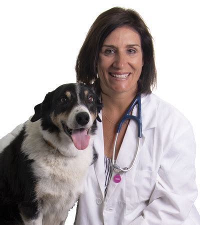 tudor glen vet clinic st albert|rosslyn vet st albert.